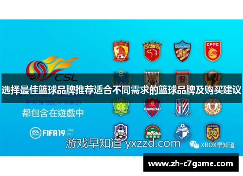 选择最佳篮球品牌推荐适合不同需求的篮球品牌及购买建议 选择最佳篮球品牌推荐适合不同需求的篮球品牌及购买建议