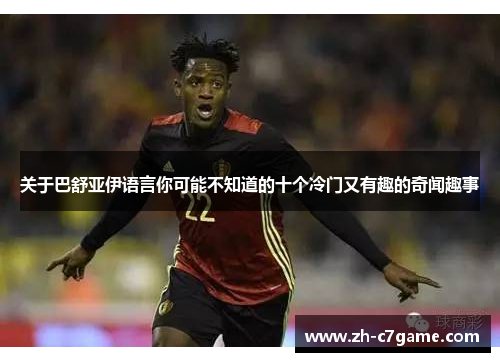 关于巴舒亚伊语言你可能不知道的十个冷门又有趣的奇闻趣事