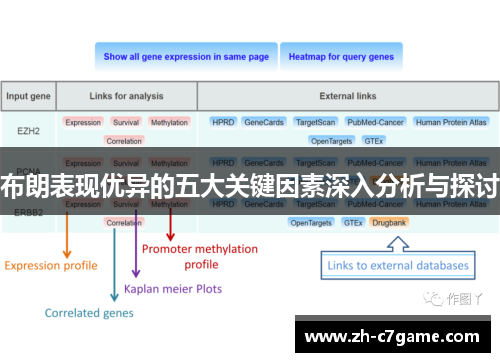 布朗表现优异的五大关键因素深入分析与探讨