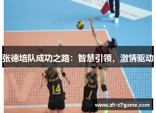 张德培队成功之路：智慧引领，激情驱动