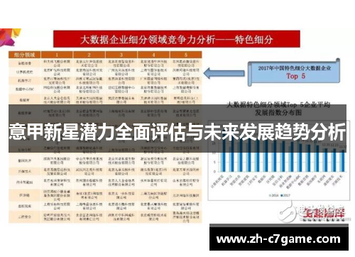 意甲新星潜力全面评估与未来发展趋势分析
